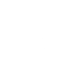 VERITACE GUARNATEE